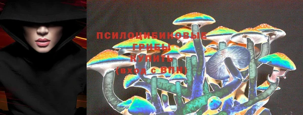 меф Няндома