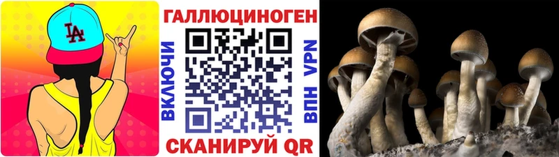 Псилоцибиновые грибы мухоморы  закладки  Электроугли 