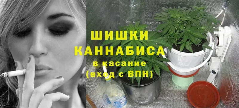 Каннабис OG Kush  ссылка на мегу зеркало  Электроугли 